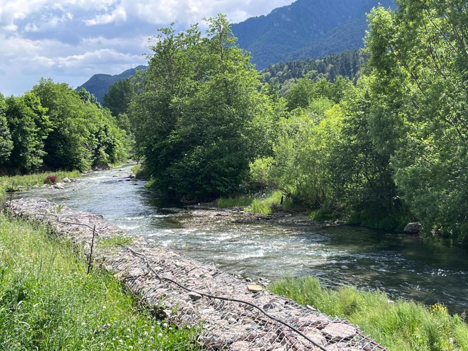 Cozy Riverfront Apartments With Garden And Mountain View Buşteni Exterior foto